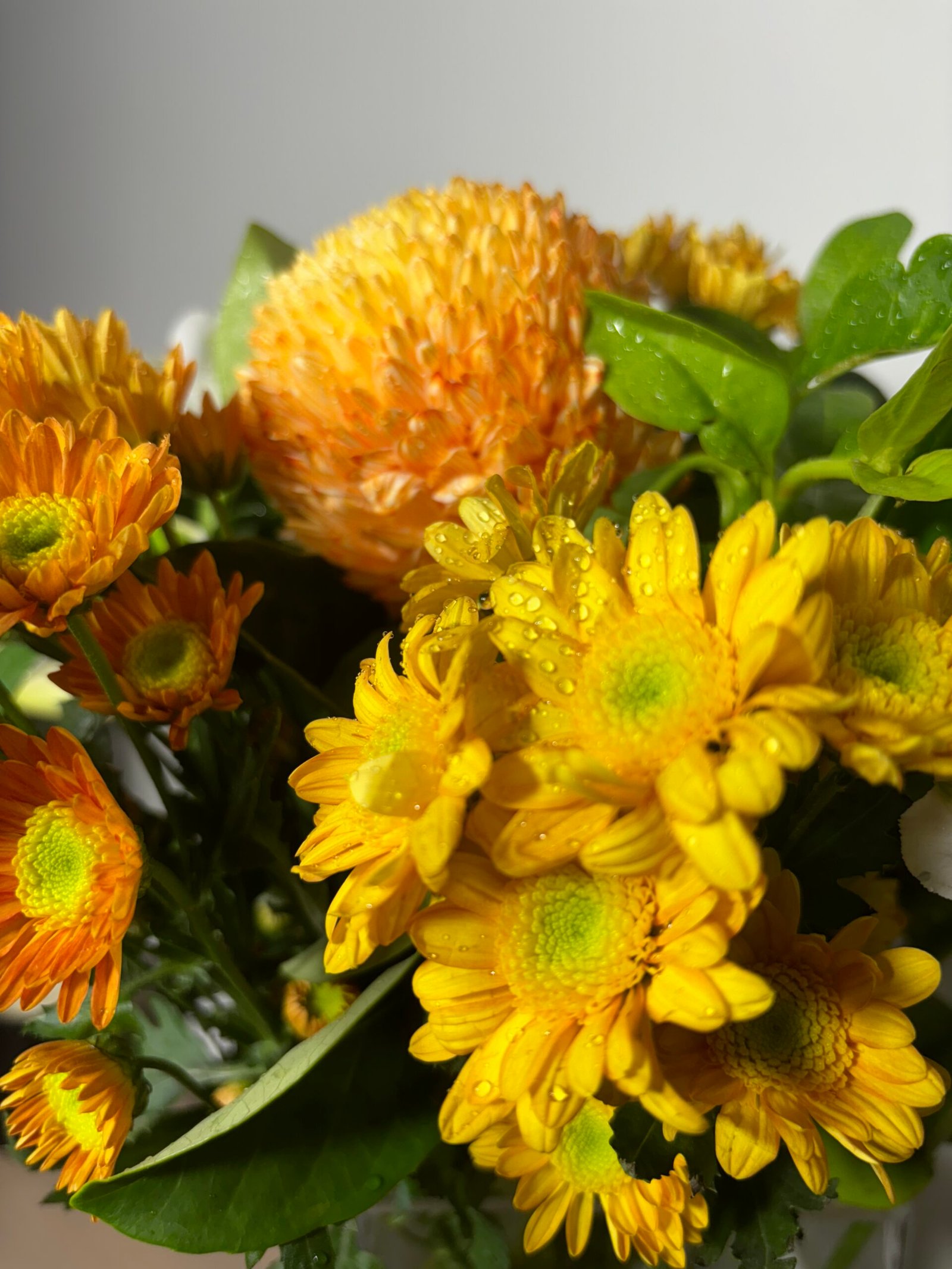 Home page, Image Gallery flowers